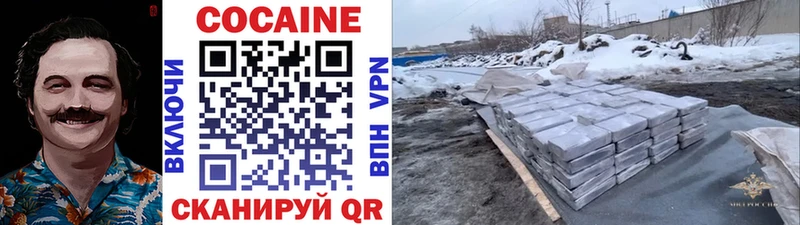 купить наркоту  Павловск  МЕГА ONION  Cocaine Fish Scale 