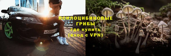 ПСИЛОЦИБИНОВЫЕ ГРИБЫ Беломорск