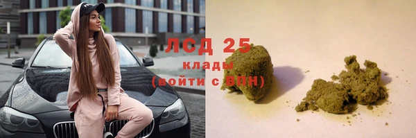 ПСИЛОЦИБИНОВЫЕ ГРИБЫ Беломорск