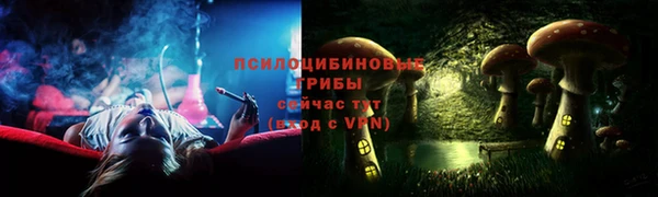 ПСИЛОЦИБИНОВЫЕ ГРИБЫ Беломорск