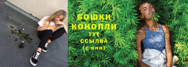 не бодяженный Белокуриха