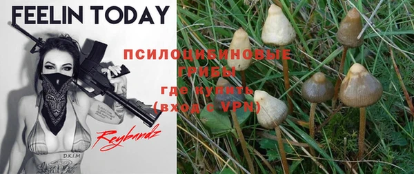 MESCALINE Белоозёрский